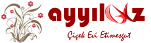 Ayyıldız Çiçek Evi