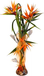 SEVGİLİYE ÇİÇEK